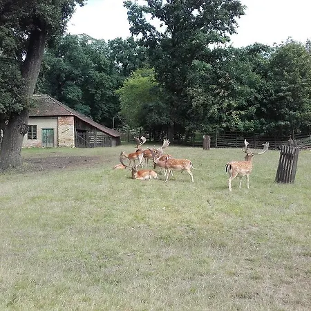 Apartment Koi Veltrusy