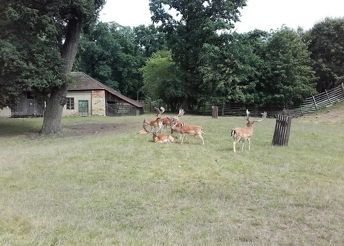 Daire Apartman Koi Veltrusy